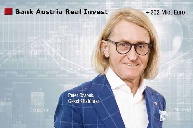 Peter Czapek, Bank Austria Real Invest