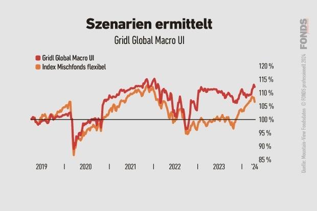 Quelle: Mountain-View; Grafik: FONDS professionell