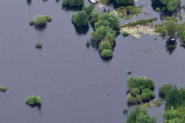 adobestock_86668945_hochwasser_vladimir_melnikov.jpg