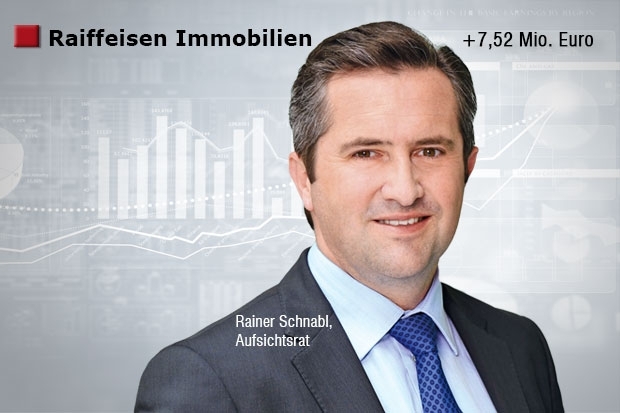 Rainer Schnabl, Raiffeisen Immobilien