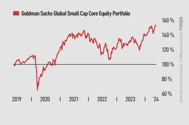 Goldman Sachs Global Small Cap Core Equity Portfolio