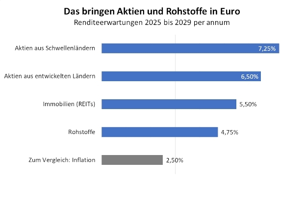 Das bringen Aktien und Rohstoffe in Euro