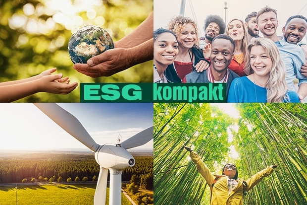 esg-kompakt.jpg